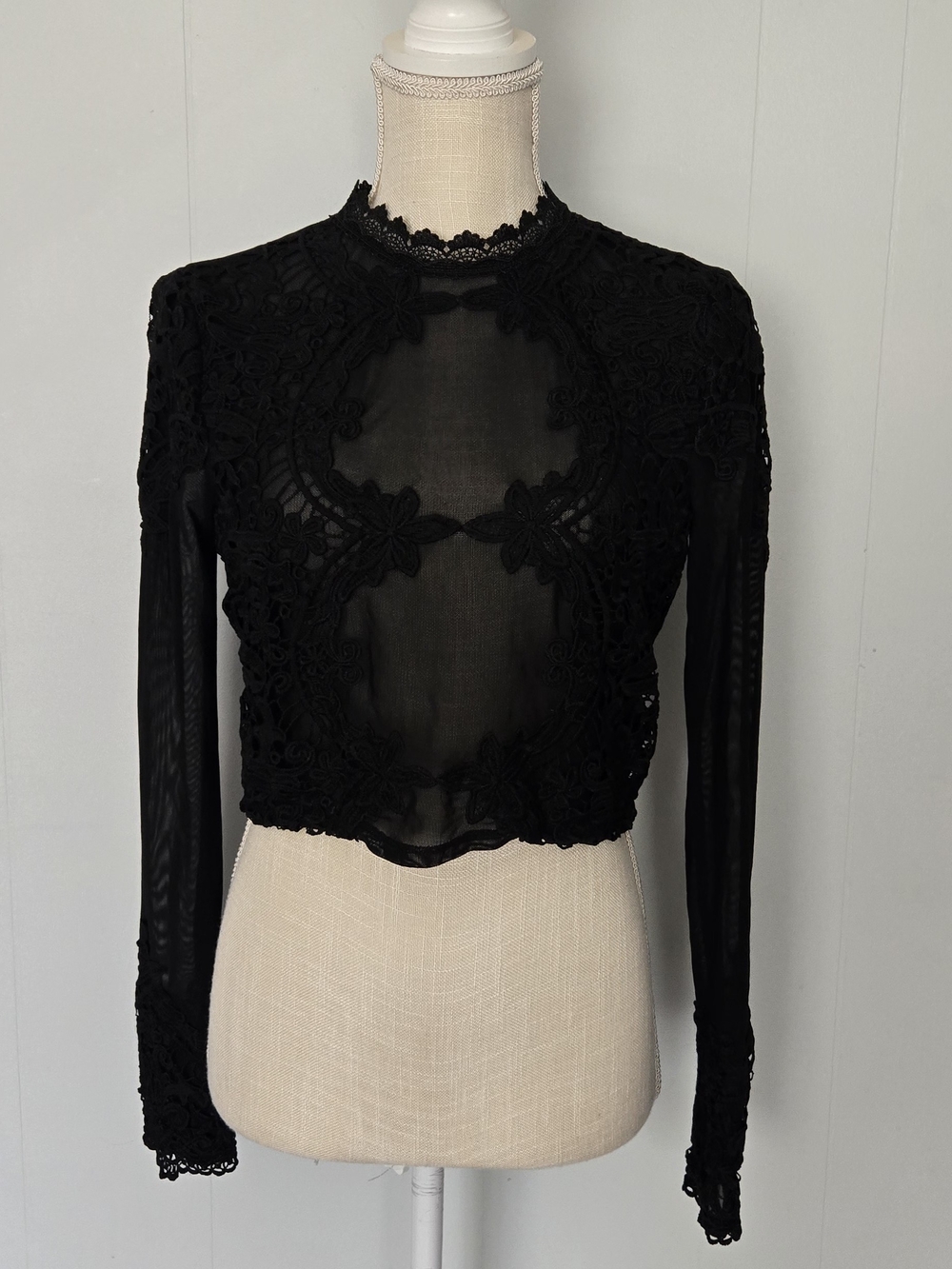 Windsor Black Sheer Lace Long-Sleeve Crop Top
